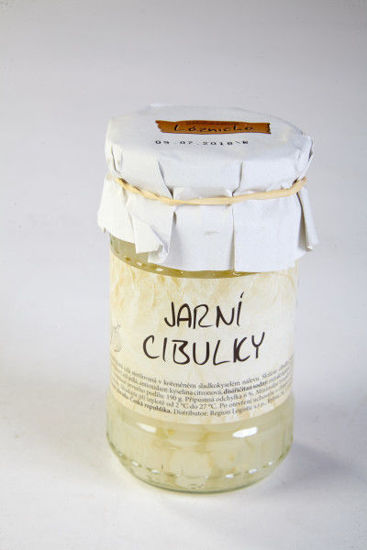 Obrázek Jarní Cibulky 340g Láznička