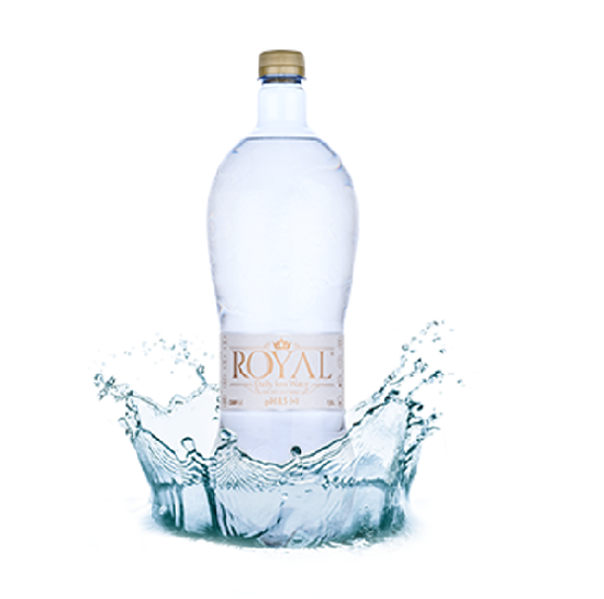 Obrázek Daily Ion water pH 8,5 0,5l
