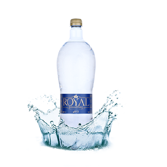 Obrázek Ionized Water pH 9,3 0,5l