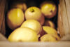 Obrázek Citrony