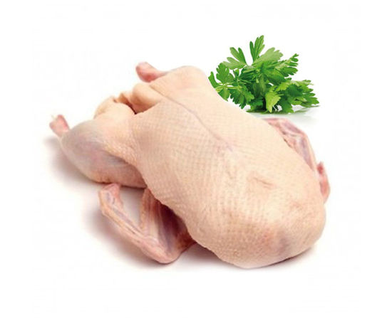 Obrázek Svatomartinská husa Farma Rohozenská husa