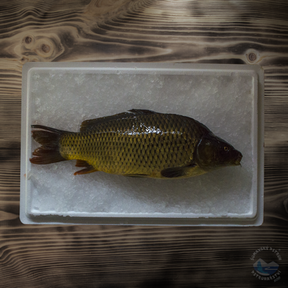 Obrázek Kapr půlený kuchány s kůží