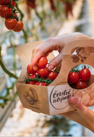 Obrázek Rajčata cherry košík 1kg Skleník Mutěnice