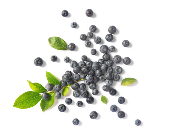 Obrázek Boruvky 125g Sklenik Mutenice