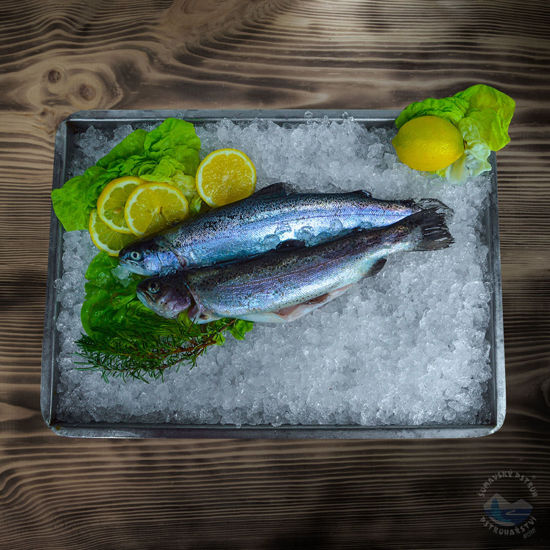 Obrázek Pstruh duhovy kuchany Pstruharstvi Mlyny